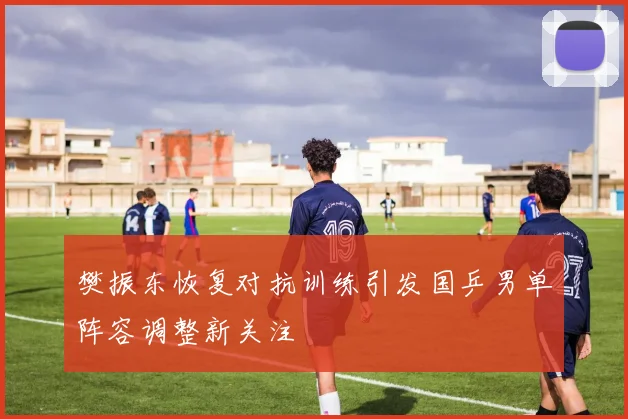 樊振东恢复对抗训练引发国乒男单阵容调整新关注