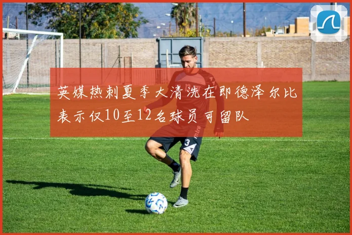 英媒热刺夏季大清洗在即德泽尔比表示仅10至12名球员可留队